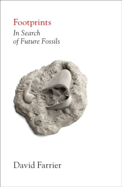 Footprints by David Farrier