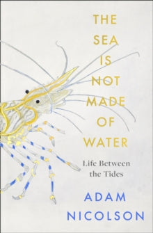 The Sea is Not Made of Water by Adam Nicolson