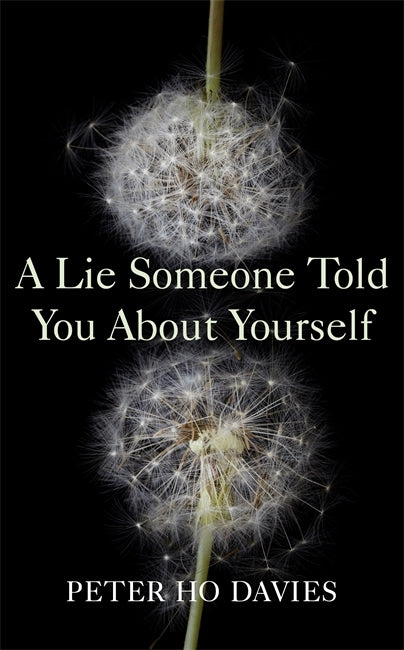 A Lie Someone Told You About Yourself by Peter Ho Davies