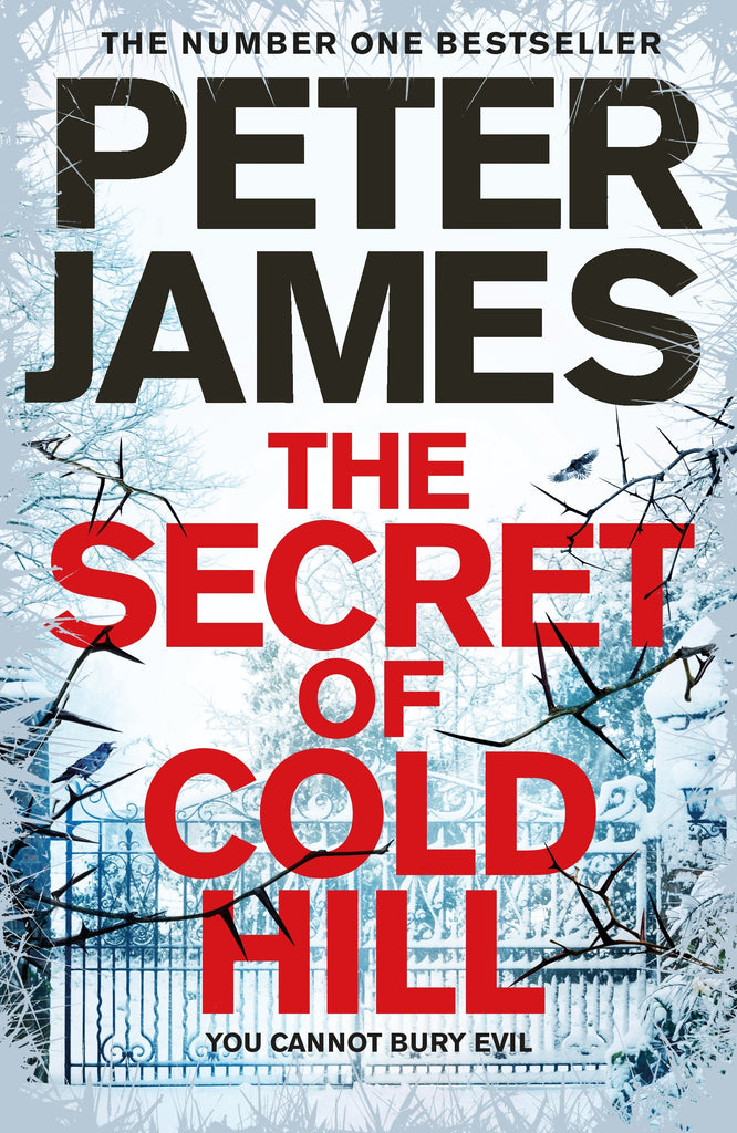 The Secret of Cold Hill by Peter James