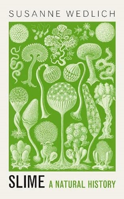 Slime : A Natural History by Susanne Wedlich