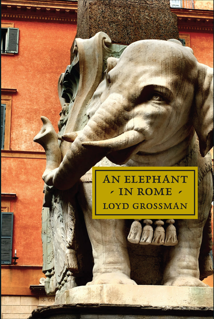 An Elephant in Rome by Loyd Grossman