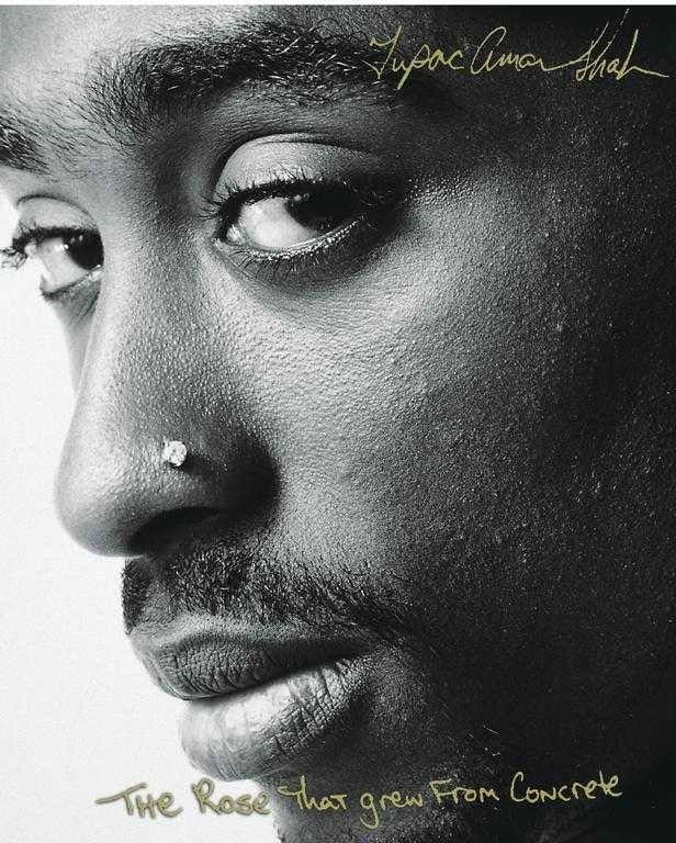 The Rose that Grew from Concrete by Tupac Shakur