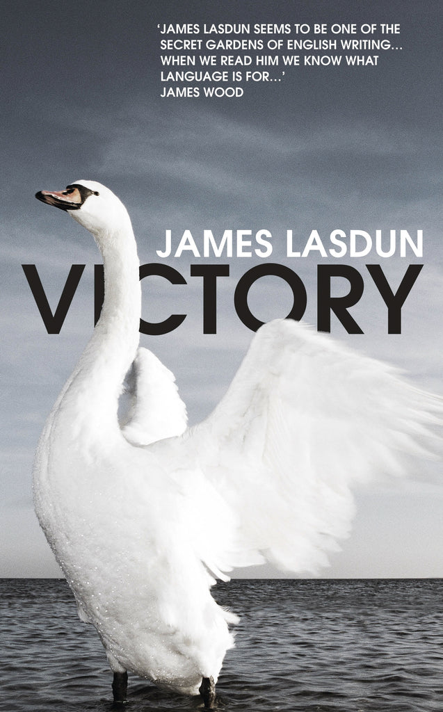 Victory by James Lasdun