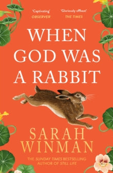 When God was a Rabbit by Sarah Winman