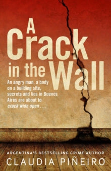 A Crack in the Wall by Claudia Pineiro