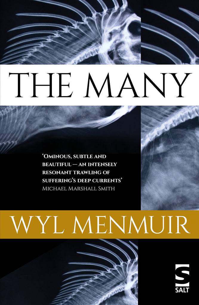 The Many by Wyl Menmuir