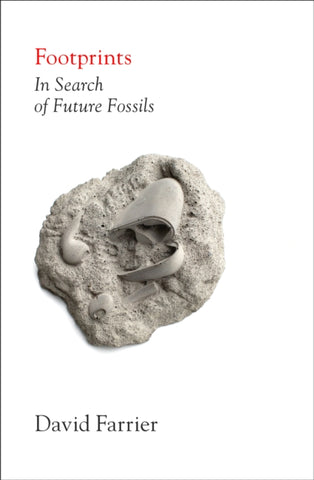 Footprints by David Farrier