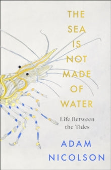 The Sea is Not Made of Water by Adam Nicolson