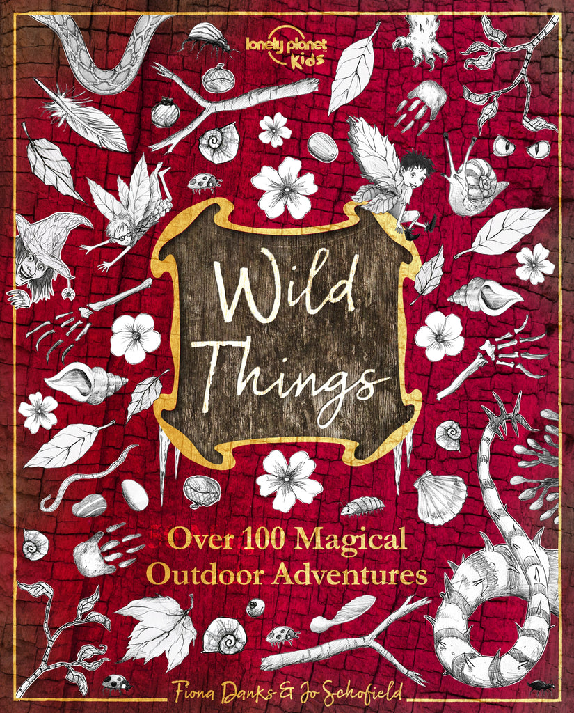 Wild Things by Lonely Planet Kids, Fiona Danks & Jo Schofield