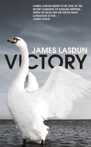 Victory by James Lasdun