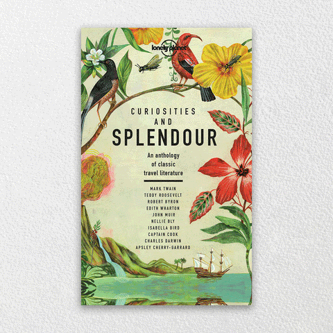 Curiosities and Splendour - Lonely Planet