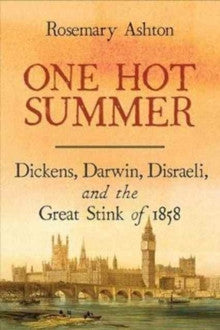 One Hot Summer by Rosemary Ashton