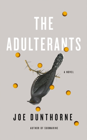 The Adulterants by Joe Dunthorne